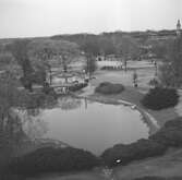 Hagenbecks djurpark i Hamburg. Tyskland-Holland-Belgien 1938.