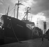 Hamnen i Oslo. Norge 1946.