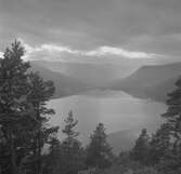 Utsikt vid Tinn. Norge 1946.