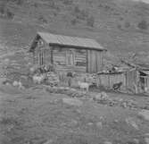 På Svandalsflona. Telemarken. Norge 1946.