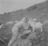 På Svandalsflona. Telemarken. Norge 1946.