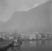 Odda, Sörfjorden. Norge 1946.