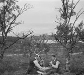 Fikarast någonstans i Norge. Norge 1946.