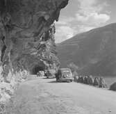 Marifjøra i Luster. Norge 1946.