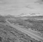 Jotunheimen. Norge 1946.