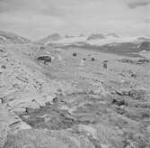 Jotunheimen? Norge 1946.