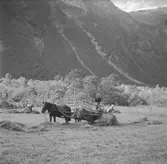 Joter dalen. Norge 1946.