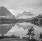 Alsten dalen. Norge 1946.