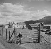 En flicka vid grinden. Østdalen. Norge 1946.