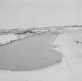 Nederländerna 1953.