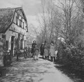 Nederländerna 1953.