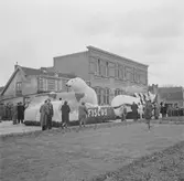 Nederländerna 1953.