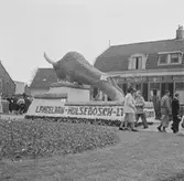 Nederländerna 1953.