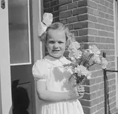 Nederländerna 1953.