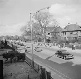 Nederländerna 1953.