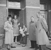Nederländerna 1953.