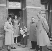 Nederländerna 1953.