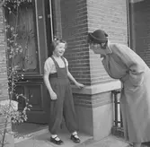 Nederländerna 1953.