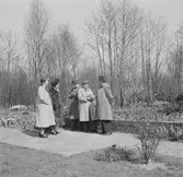 Nederländerna 1953.