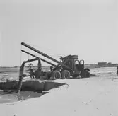 Nederländerna 1953.