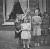Nederländerna 1953.