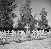 Pedersöre. Finland.