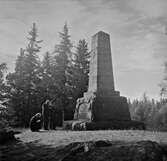 Minnesmonument över slaget vid Oravais. Finland.