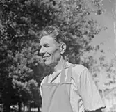 Trädgårdsmästare Lindraas i Vasa. Finland.