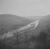 Luxemburg. Belgien-Luxemburg 1953.