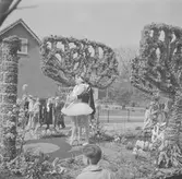 Belgien. Belgien-Luxemburg 1953.