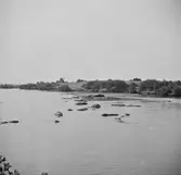 Kongofloden? Belgiska Kongo (idag Kongo-Kinshasa). Afrika.