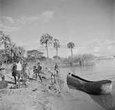 En kanot på Nyasasjöns strand. Nyasaland (Idag Malawi). Afrika.
