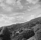 Nyasaland (Idag Malawi). Afrika.