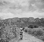 Mulanjemassivet. Nyasaland (Idag Malawi). Afrika.