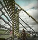 Kornhässja med männsiskor som håller på att hänga kärvar på den innan tröskningen. Vagn med hästen i förgrunden.