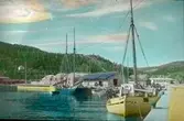 Fiskebåtar och segelbåtar vid hamnen.