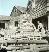 Inläggning av Surströmming