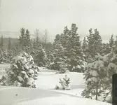 Saltvikshöjden vinter