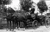 Skönvall, kusken vid Dalsjöfors fabriker, när han körde herrskapsfolk. Omkring 1924.