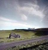 Landskap.
Märkt G Berglunds Ljusbildstillverkning