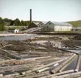 Med furorna från skogarna till sågarna