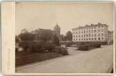 Kabinettsfotografi - Dekanhuset, Uppsala