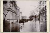 Kabinettskort - översvämning i Uppsala år 1900