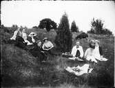 Män och kvinnor på picknick ute i naturen, Östhammar, Uppland