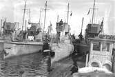 Svenska torpedbåtar i Härnösand under det tyska flottbesöket.
