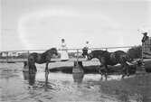 Tre kvinnor står på en brygga vid Södra sundet. Två hästar vadar i vattnet vid bryggan. I bakgrunden ligger sjukhuset och dövskolan.
