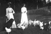 Två kvinnor står vid några höns. Bredvid sig har de en hund.
