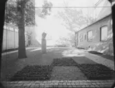 ARKIVTRÄDGÅRDEN I LUND