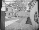 ARKIVTRÄDGÅRDEN I LUND