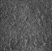 FASADPUTS KYRKAN GÄRDET